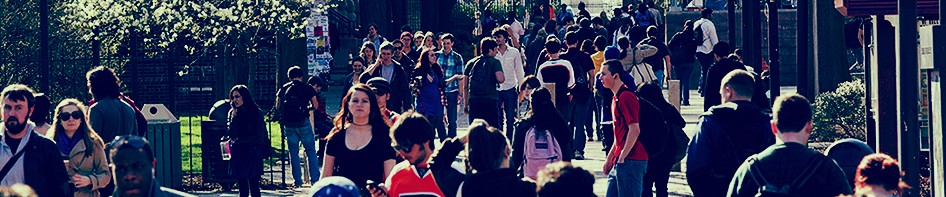 Here’s the final math on my middle class $100k college education