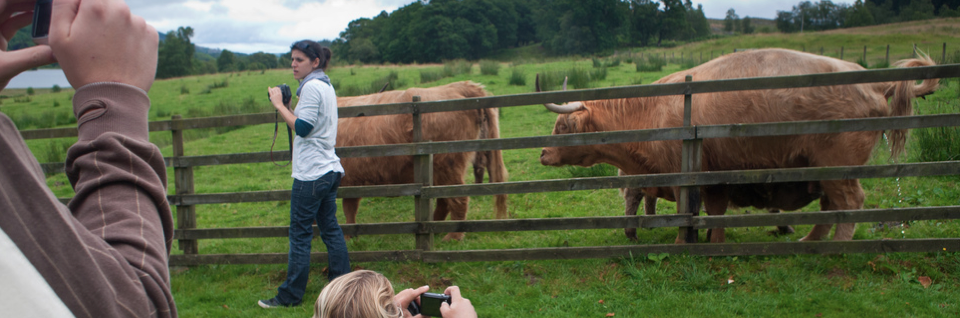 Don’t take that next photo you plan to