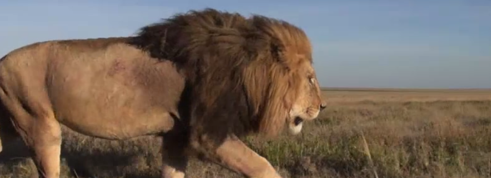 Innovative News Storytelling: 5 ways and dozens of examples