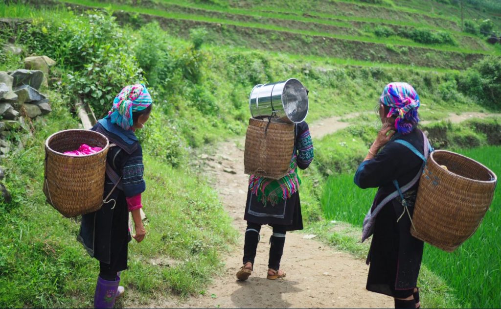 Privilege has nothing to do with how hard you work