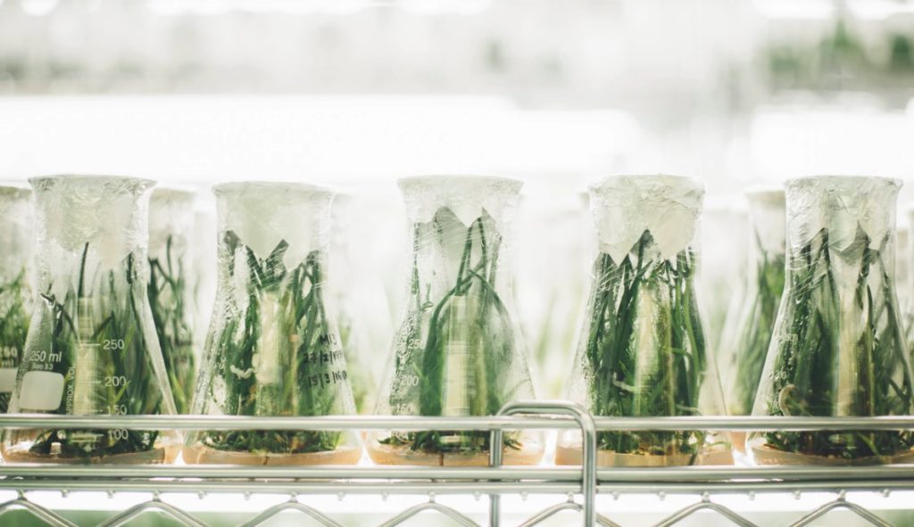 Art tells us we are important. Science reminds us we are not