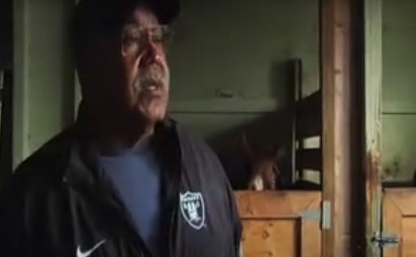 Either you ride the horse or the horse rides you