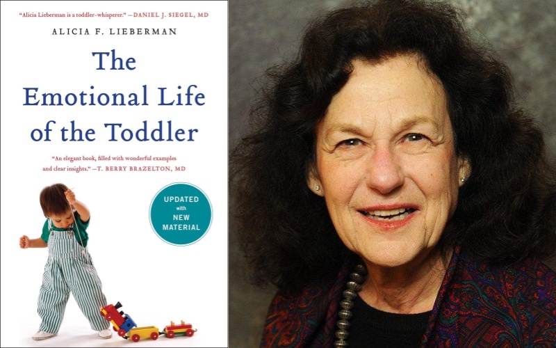 The Emotional Life of a Toddler