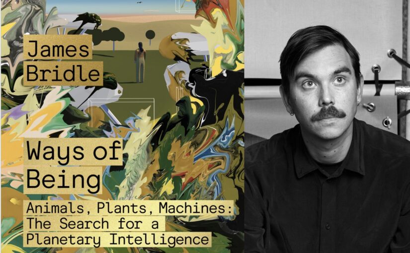 What would it mean to build AI like octopuses, fungi or forests?