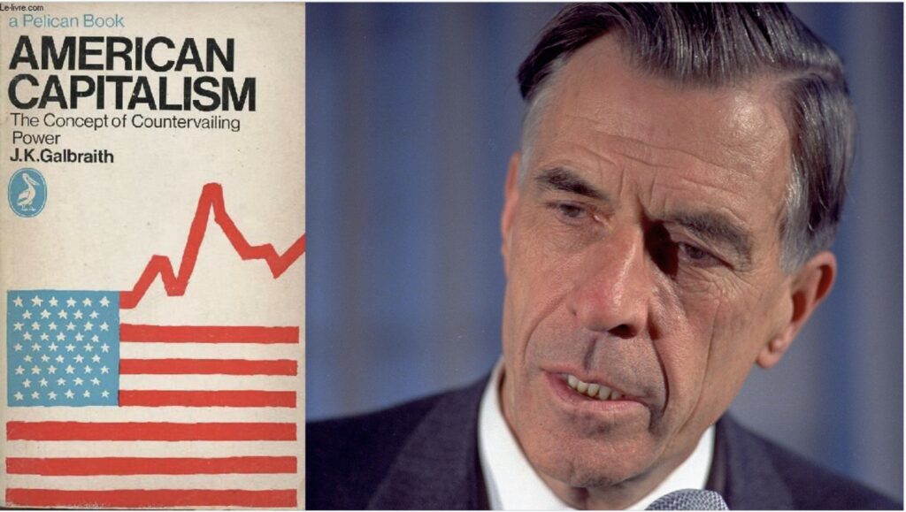 My foundational political belief: countervailing power